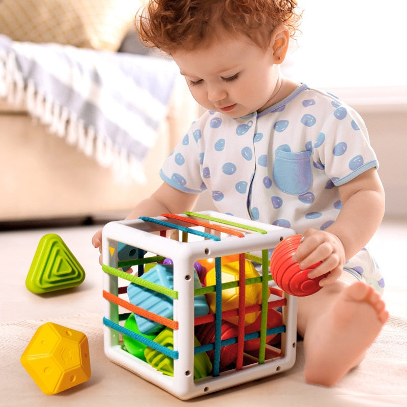 Jouet de Tri Sensoriel Montessori – ABS Non Toxique, Blocs Formes Couleurs, 14x14 cm | TrioNest™