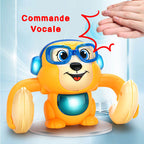 Pack Jungle Musicale Singe Culbuteur + Éléphant Cache-Cache + RAYONNETTE – TrioNest™