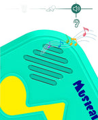 Jouet de Tapis Piano Musical pour Enfants
