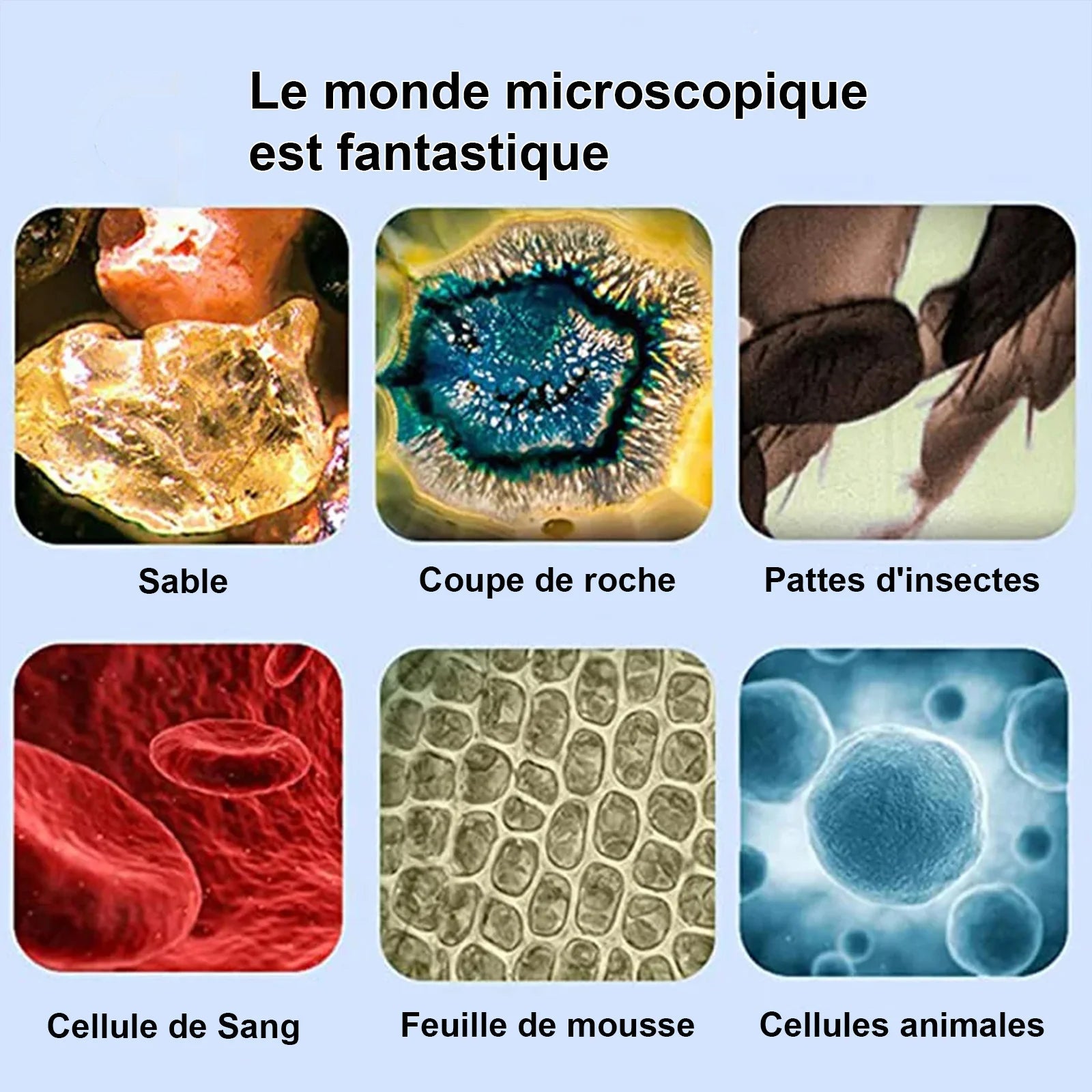 Pack Merveilles MAGNETRIX Circuit Billes + KIDSCOPE Microscope Portable – TrioNest™