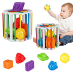 Jouet de Tri Sensoriel Montessori – ABS Non Toxique, Blocs Formes Couleurs, 14x14 cm | TrioNest™