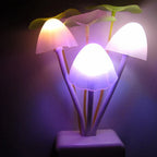 Veilleuse Champignon LED – Détection Lumière Auto, Changement Couleurs, 50 000h | TrioNest™